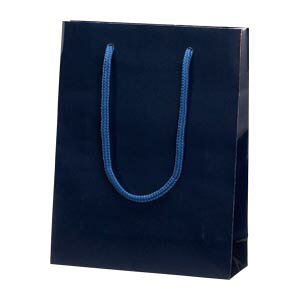 �V���W�} �u���C�g�o�b�O �V�R�� 1 �� 006138315 ���[�� �I�t�B�X �p�i