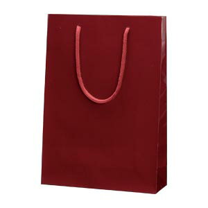 �V���W�} �u���C�g�o�b�O �G���W 1 �� 006138202 ���[�� �I�t�B�X �p�i