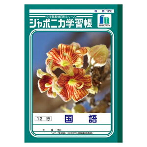 ショウワノート ジャポニカ学習帳 国語 12行 1 冊 JL-11-1 文房具 オフィス 用品