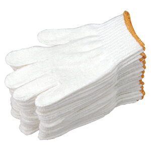 �~�^�j�R-�|��-�V�� �����ߌR�� 12�o�� 1 �p�b�N 202863 ���[�� �I�t�B�X �p�i