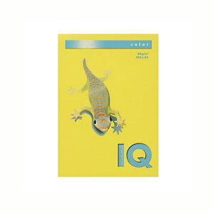 ɓ oCIgbvJ[PPC A4 }X^[h 1  BT529 [ ItBX piyz