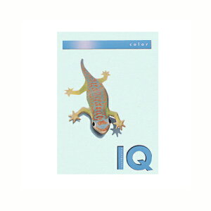 ɓ oCIgbvJ[PPC A4 u[ 1  BT807 [ ItBX piyz