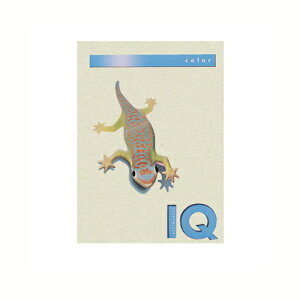 ɓ oCIgbvJ[PPC A4 O[ 1  BT809 [ ItBX piyz