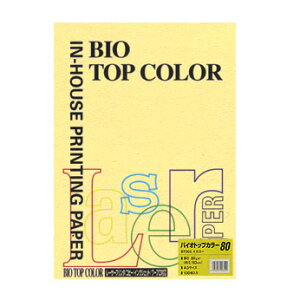 ɓ oCIgbvJ[PPC A3 CG[ 1  BT203 [ ItBX piyz