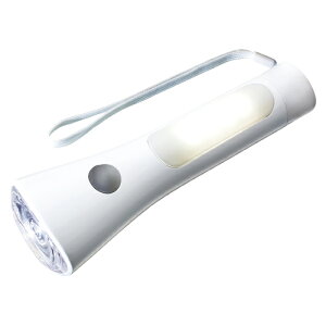  LED^td zCg 1  KFL-304L(W) [ ItBX piyz