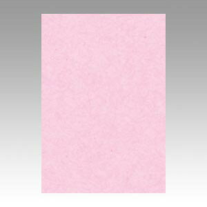 ^ Fp j[J[ 8  1  8NCR-218 [ ItBX pi