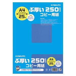 LNgE.A\V Ԍ250gsmRs[p A4 1pbN