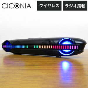 CICONIA TEho[CLY-2210BK y Xs[J[  p[eB[(s)yz