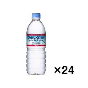 NX^KCU[ ApCXvOEH[^[ ybg{g(500mL×24{) 029103894yz
