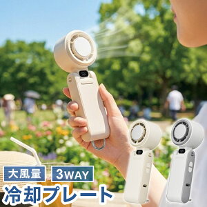 ��p�v���[�g�t���n���f�B�t�@�� �啗�� �A�C�X 3WAY ��|���E���E�n���f�B ��@ USB�[�d Type-C �g�ѐ�@ �n���f�B�t�@�� ��|�� ��� �R���p�N�g �M���Ǒ΍� JFSB-42B �h�E�V�V�� DOSHISHA�y
