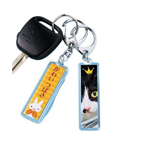 �y5�Z�b�g�z �T�����T�v���C ����L�[�z���_�[�L�b�g�i�X�e�B�b�N�^�j JP-ST15X5