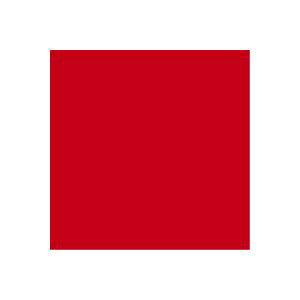 i܂Ƃ߁jWCebNX PF肪ݐ 100 B260J-1y×20Zbgz (s)