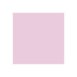 i܂Ƃ߁jWCebNX PF肪݃sN 100 B260J-16y×20Zbgz (s)