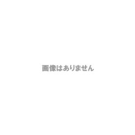 USB日本語版キーボード/マウスキット (代引不可)