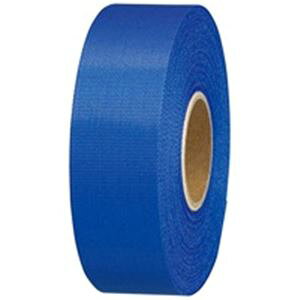 �W���C���e�b�N�X �J���[���{���� 24mm*25m 10�� B824J-NB10 (����s��)