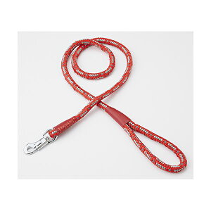 i܂Ƃ߁jNEW lI[h 10mm bhy×3Zbgz (pi/[h)