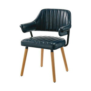 �z�[���X�^�C�����O�A�[���`�F�A �l�C�r�[ SDC-01A-NV 1�r