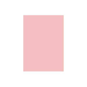 (Ɩp2Zbg) kz J[y[p[/TCNRs[p yB5 500×5z { sN (s)