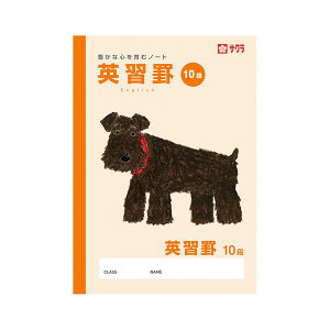 i܂Ƃ߁j TNNpX wKm[gwK NP95 y×10Zbgz