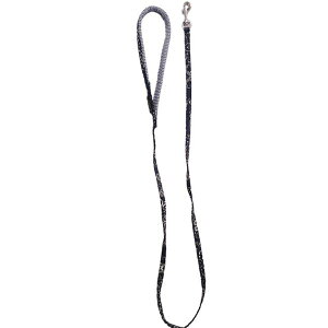 i܂Ƃ߁jo_iNbV[h SS u[y×2Zbgz (pi/[h)