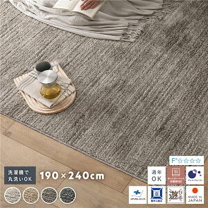 ~bNXpC O 190×240cm O[W 􂦂 { Y y h_j AubN Vііh~ I[V[Yysz