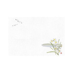 }R[ p Ɩp 1茳܂ ԌiF  (100) yamaco64969