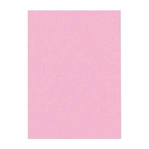 i܂Ƃ߁j ^ j[J[R lc 392×c542mm 4NCR-234 Ƃ 100 y×2Zbgz