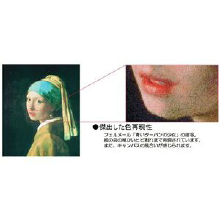 楽天市場】世界の名画シリーズ、プリハード複製画 ヨハネス・フェル 