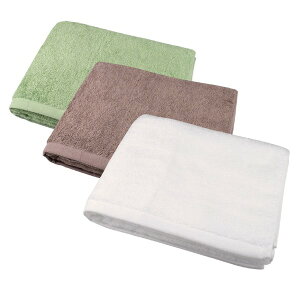 B̍ oX^I 60cm×130cm ݐF 100 { GSnQ v v[g 蕨 Mtg