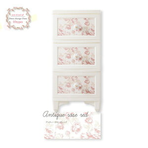 Liloudecoco hX`FW`FXg 3i AeB[N[Ybh DPC-03-ARRD ߗގ[ Lr fRR Pn { PƋ  [ (s)