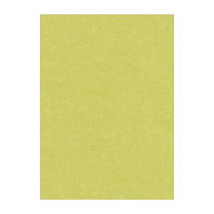 i܂Ƃ߁j ^ j[J[R lc 392×c542mm 4NCR-106 Ȃ 100 y×2Zbgz