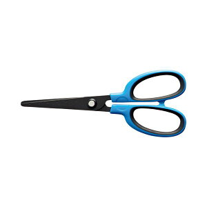 i܂Ƃ߁j TANOSEE tbfn͂ n nn65mm u[ 1Zbgi10{j y×2Zbgz (s)