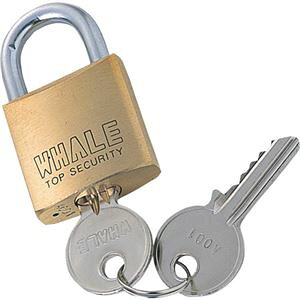 i܂Ƃ߁j TTvC eZLeB 싞 No.1 SLE-1L-1N 1 y×5Zbgz (s)