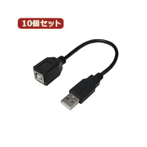 �ϊ����l 10�Z�b�g USB�P�[�u��20 A�i�I�X�j to B�i���X�j USBAA�^BB20X10 (����s��)