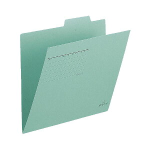 vX ʃtH_[ FL-001IF A4E  100 (s)