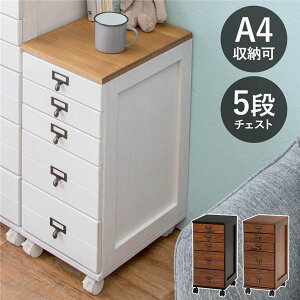 AeB[N i `FXg/^[P[X y5i uE×ubNz 28cm ؐ o LX^[t gi (s)