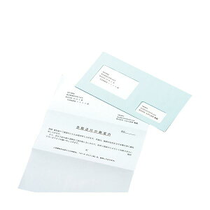 (まとめ) ピース マドパック2 2つ窓付封筒 DLホワイト 5851 1パック(10枚) 【×20セット】 (代引不可)