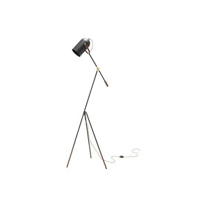 X^hCg Ɩ 65`85cm X`[ A~ dt rO _CjO Q xbh[ CeAƋ (s)