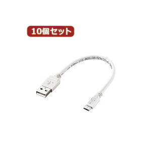 10Zbg GR 2AΉmicroUSBP[u MPA-AMB2U02WHX10 (s)
