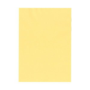 �k�z�R�[�|���[�V���� �I�B�̐F�㎿ A3 T�� ������ �N���[�� 1��(400���F100��×4��)