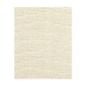 カーペット/ラグマット 【本間10畳 アイボリー】 ホットカーペット・ロボット掃除機対応 日本製 『ポート』 プレーベル (代引不可)