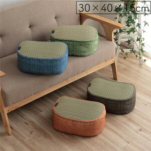 ���� �N�b�V���� �y��30×40×15cm �u���[ �z �R�� �h�L ���L ���ѐ���R�o�K�[�h�g�p ���났 �����b�N�X �X�}�z �k���r���O�l (����s��)