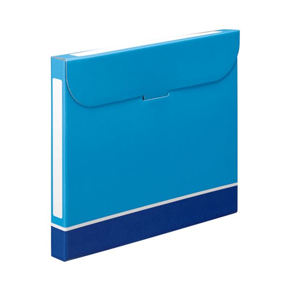 (まとめ) TANOSEE ファイルボックス A4 背幅32mm 青 1パック（5冊） 【×10セット】 (代引不可)：リコメン堂生活館