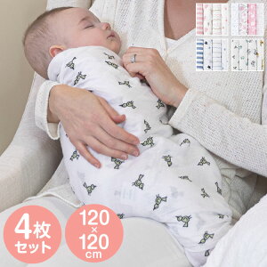 ݃Xh 4  Xh qǂ xr[ X[p[ V ʋC ǂ LbY Ԃ [  킢 Q 鋃 j̎q ̎q oYj xr