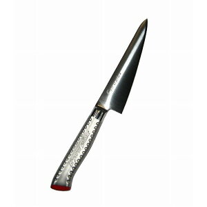 EBM E-pro PLUS XL p^ 15cm bh(s)yz