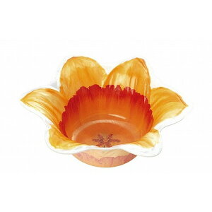 vJbv  FZ-1(300)(s)yz