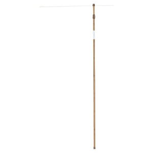 âڂ(3mLk)56946-1 XܔiECeA ̂ڂ|[(s)yz