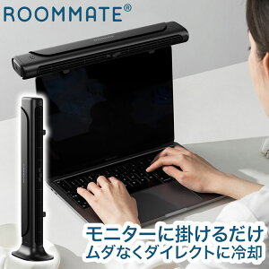 2style ���j�^�[&�X�����t�@�� Type-C�[�d�� 3�i�K���ʒ��� 6���Ԏg�p�\ 30.5cm�L�摗�� ���@�\���� �I�ׂ�2way ��� ���j�^�[�|�� RM-245H ROOMMATE�y���������z