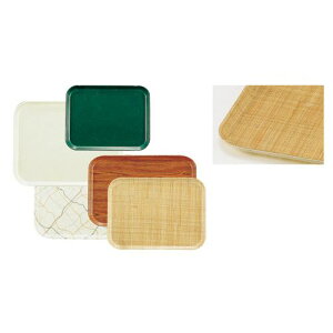 CAMBRO(�L�����u��) �L�����u���J���g���[(FRP) 2025 ���^�� EKM018LA�y���������z