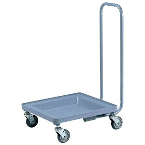 CAMBRO(�L�����u��) �O���X���b�N�h�[���[ CDR-2020H IGL63�y���������z